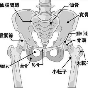 坐骨の耐久時間　猫背、歪み、同じ姿勢を保てない、同じ姿勢では落ち着かない